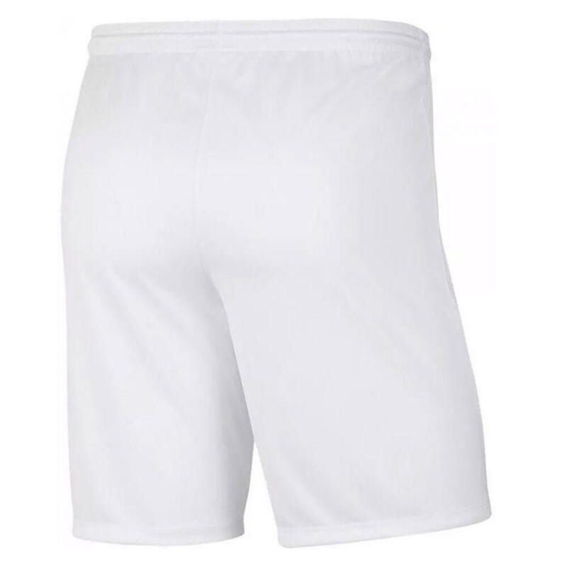 Pantaloni Scurți Drumeții În Natură Nike Park III Bărbați