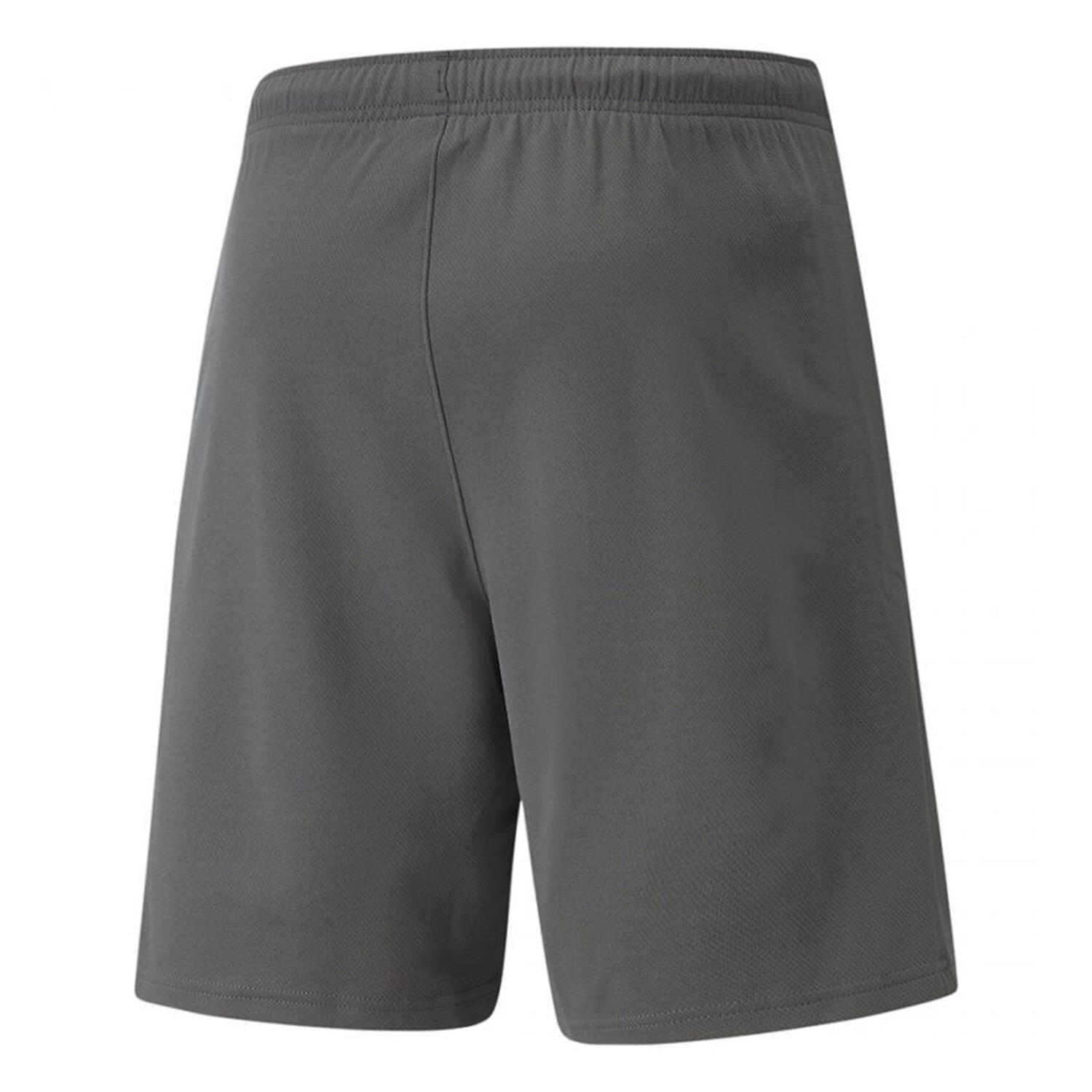 "TeamRise" Shorts für Herren Grau Silber 2/3