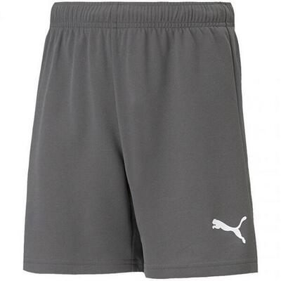 Teamrise shorts voor kinderen (grijs)