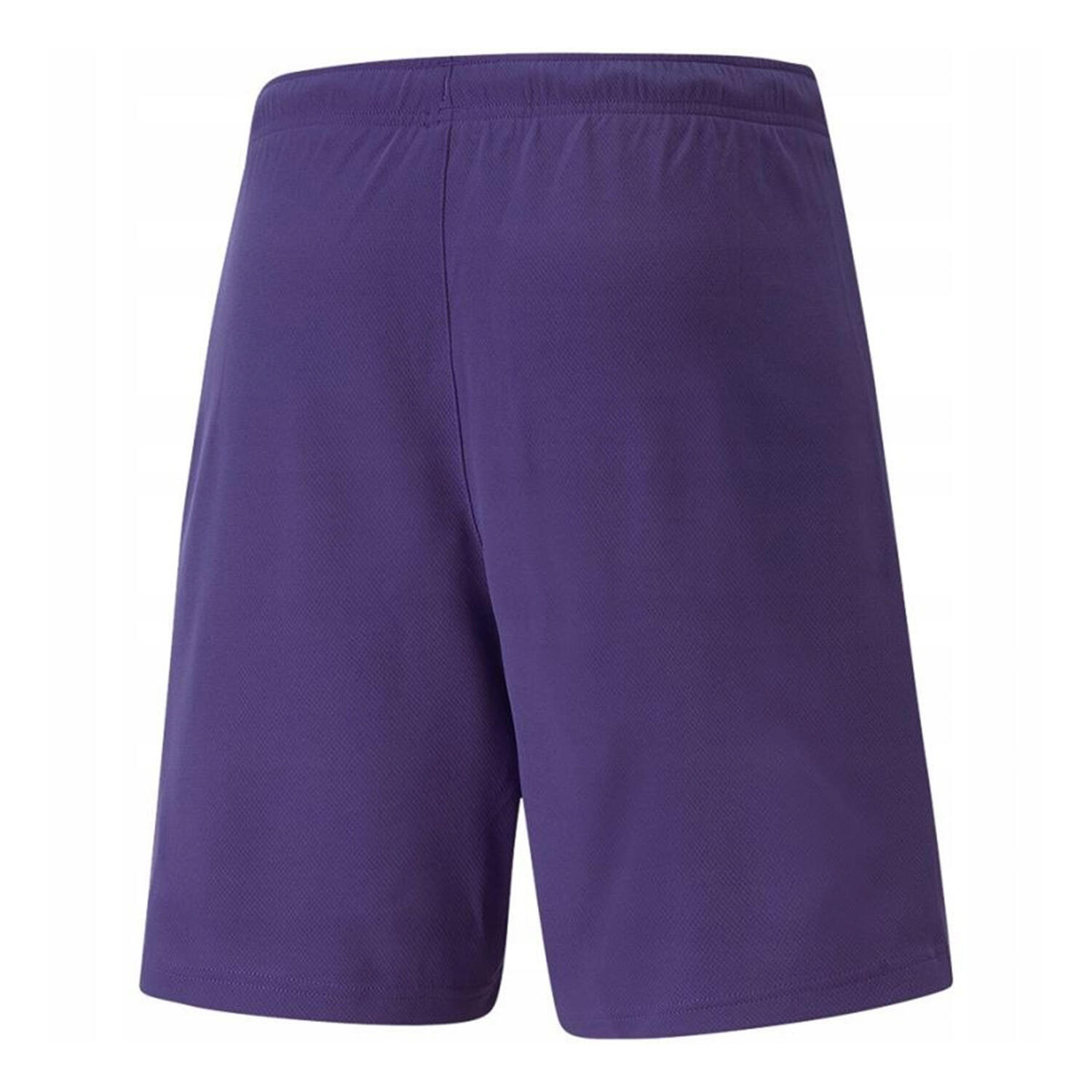 "TeamRise" Shorts für Herren Veilchen 2/4