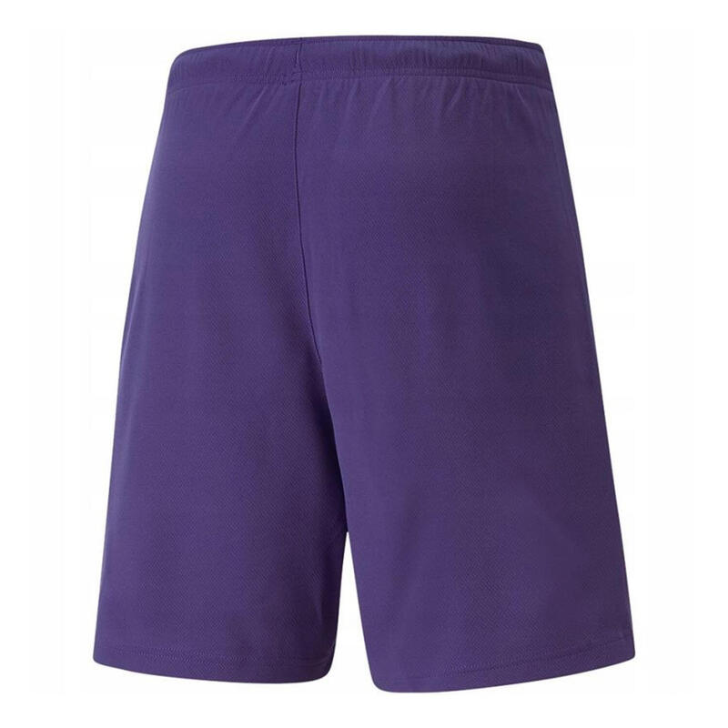 Pantaloni Scurți Drumeții În Natură Puma Bărbați