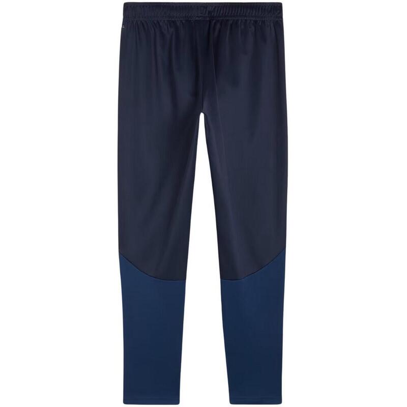 Pantaloni De Alergare Drumeții În Natură Puma Team Goal Bărbați