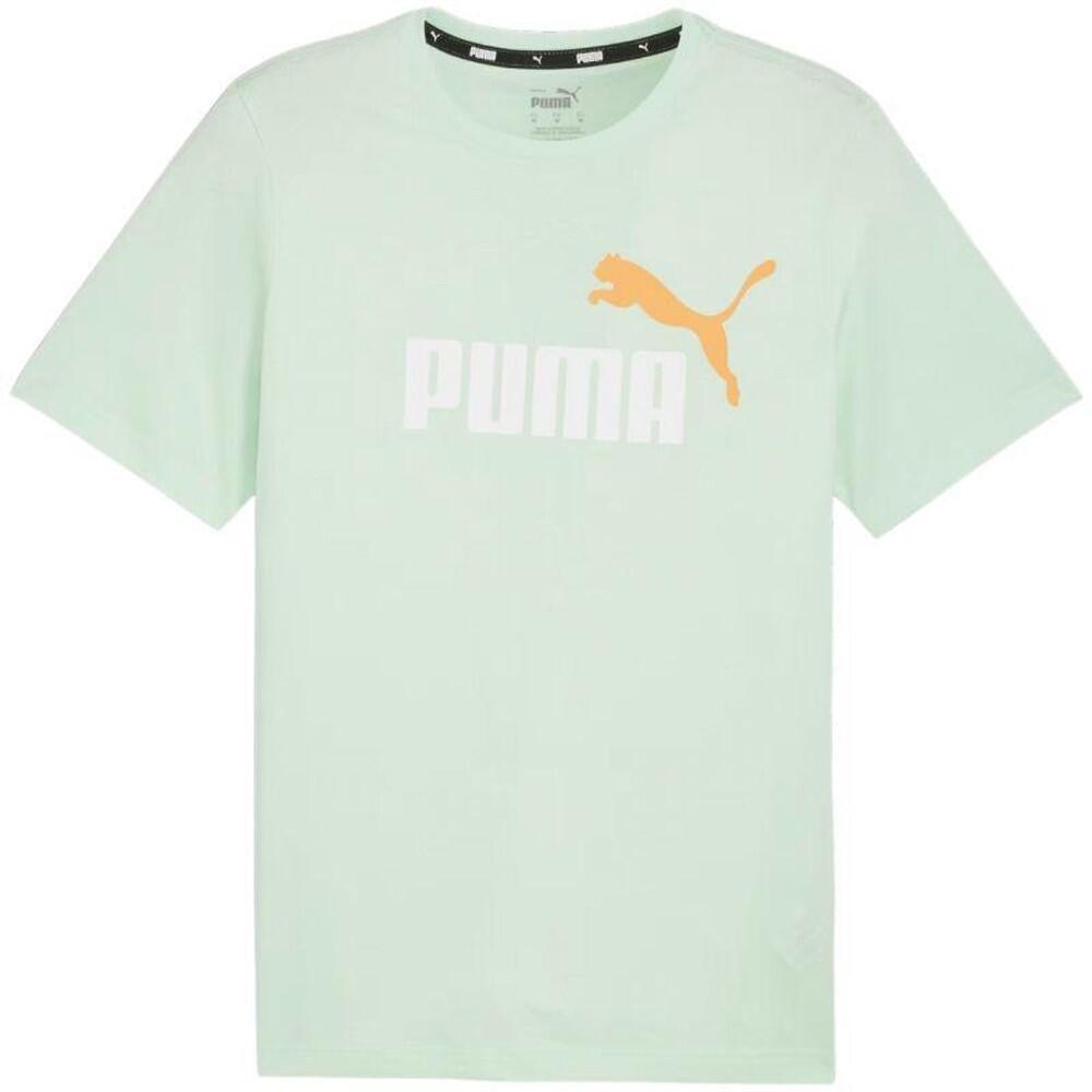 PUMA picture