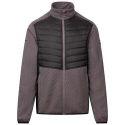 Veste Hybride HANLONTON Homme (Gris Foncé)