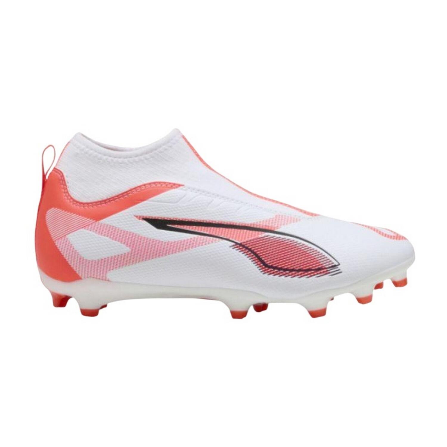 PUMA picture
