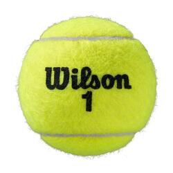 Balles De Tennis Tout Terrain ROLAND GARROS (Jaune)