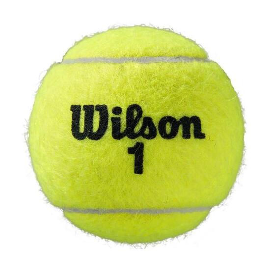 Palline Da Tennis Per Tutti I Campi Misura Confezione 4 Wilson Roland Garros