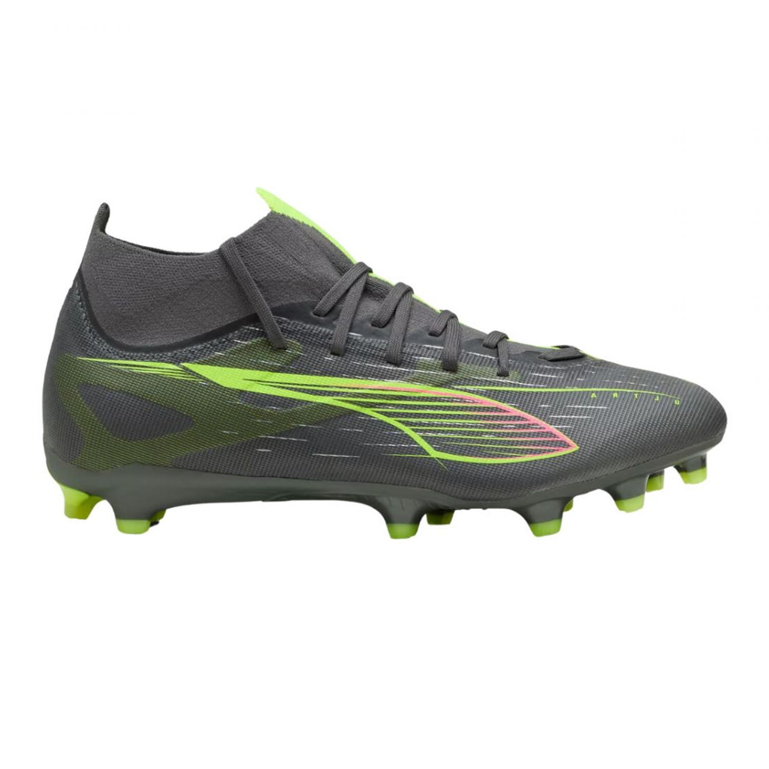 PUMA picture