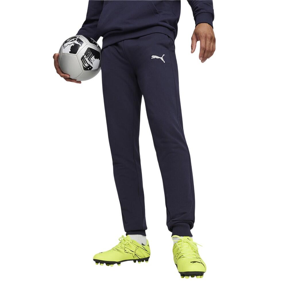 PUMA picture