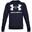 Hanorac Drumeții În Natură Under Armour Rival Big Logo Bărbați
