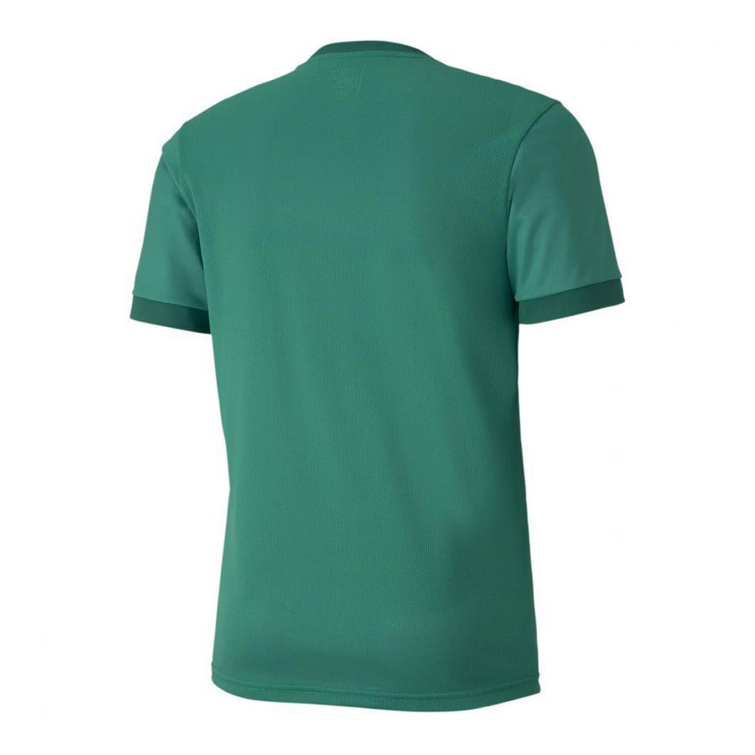 Heren TeamGoal 23 Jersey (Groen) 2/2