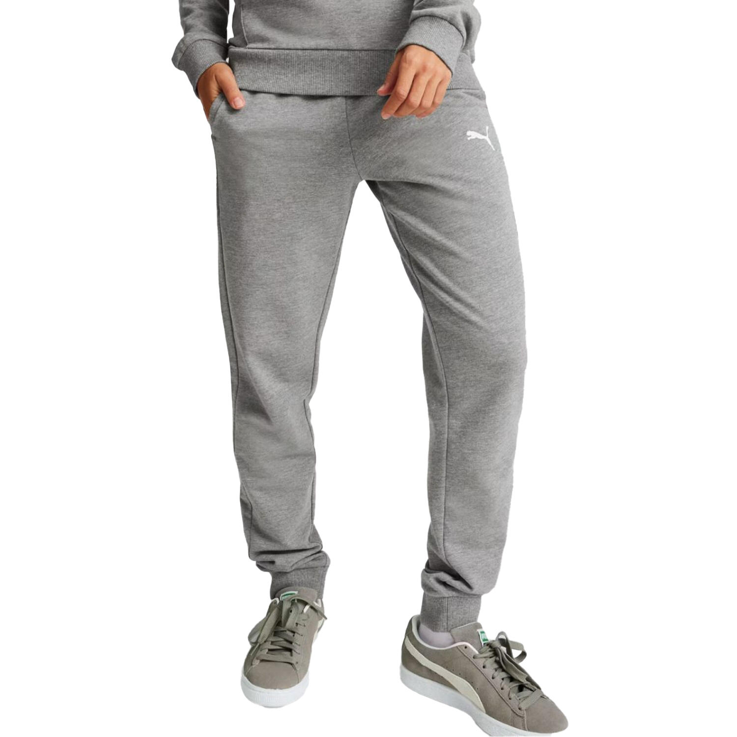 PUMA picture