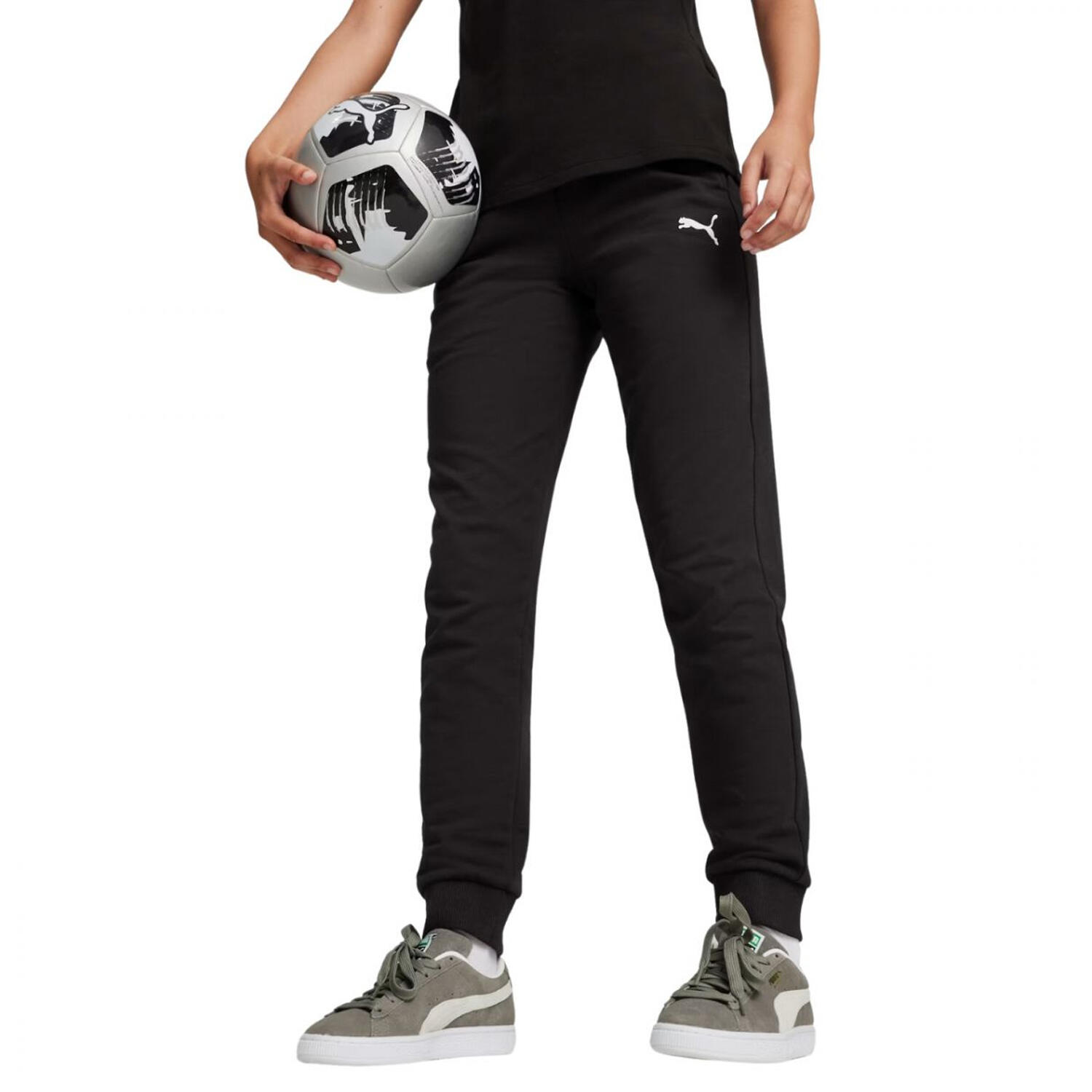 PUMA picture