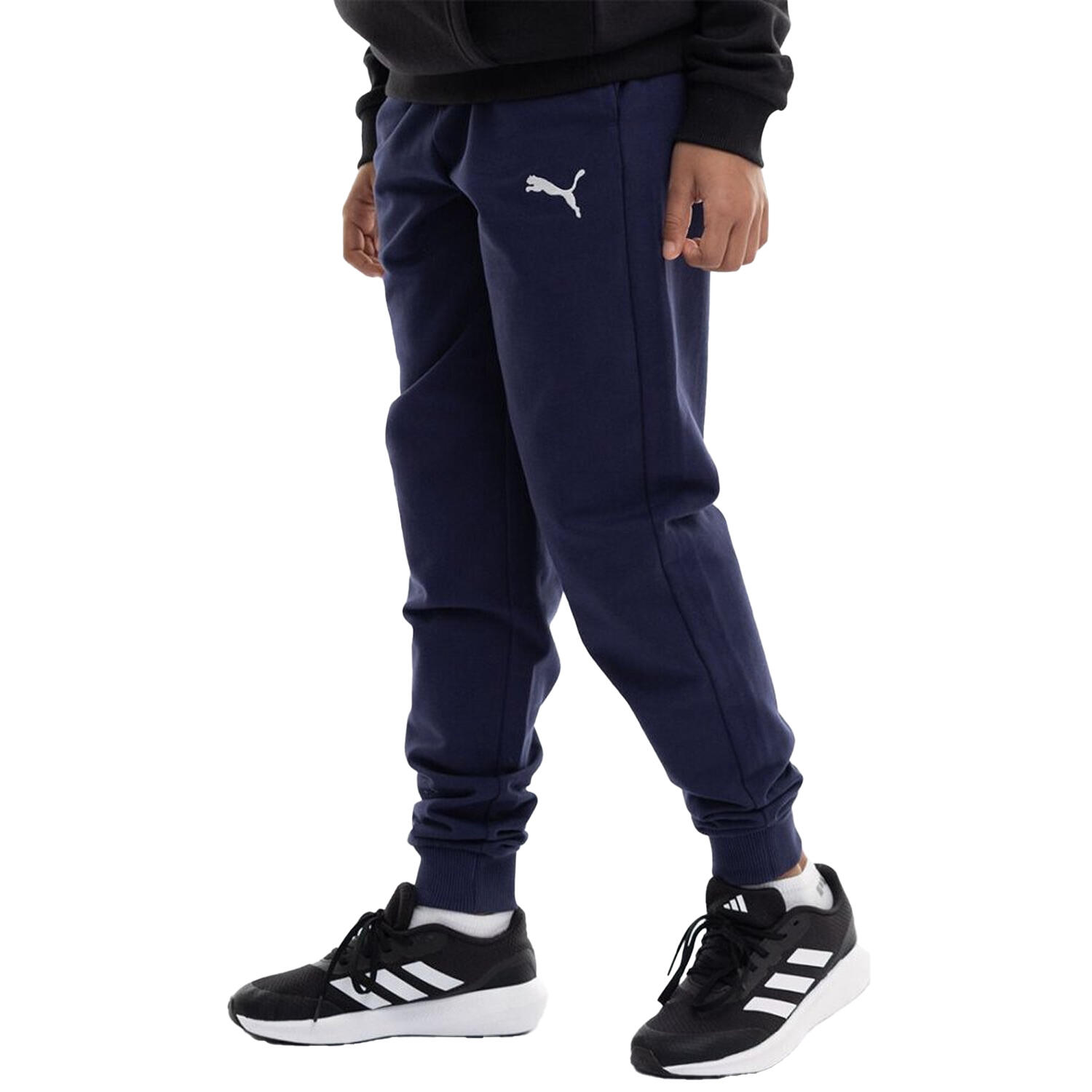 PUMA picture