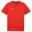 Tricou Drumeții În Natură Puma Team Goal Casuals Bărbați