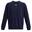Hanorac Drumeții În Natură Under Armour Crew Neck Bărbați