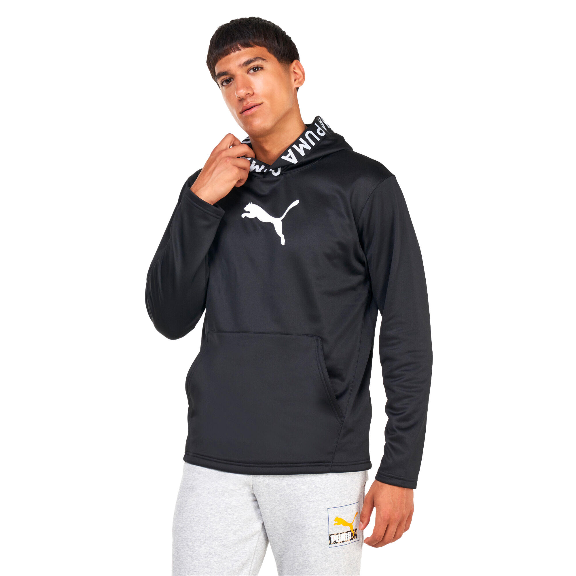 PUMA picture