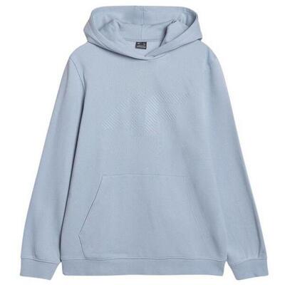 Heren wss25tswsm1621 hoodie (blauw)