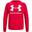 Hanorac Drumeții În Natură Under Armour Rival Big Logo Bărbați