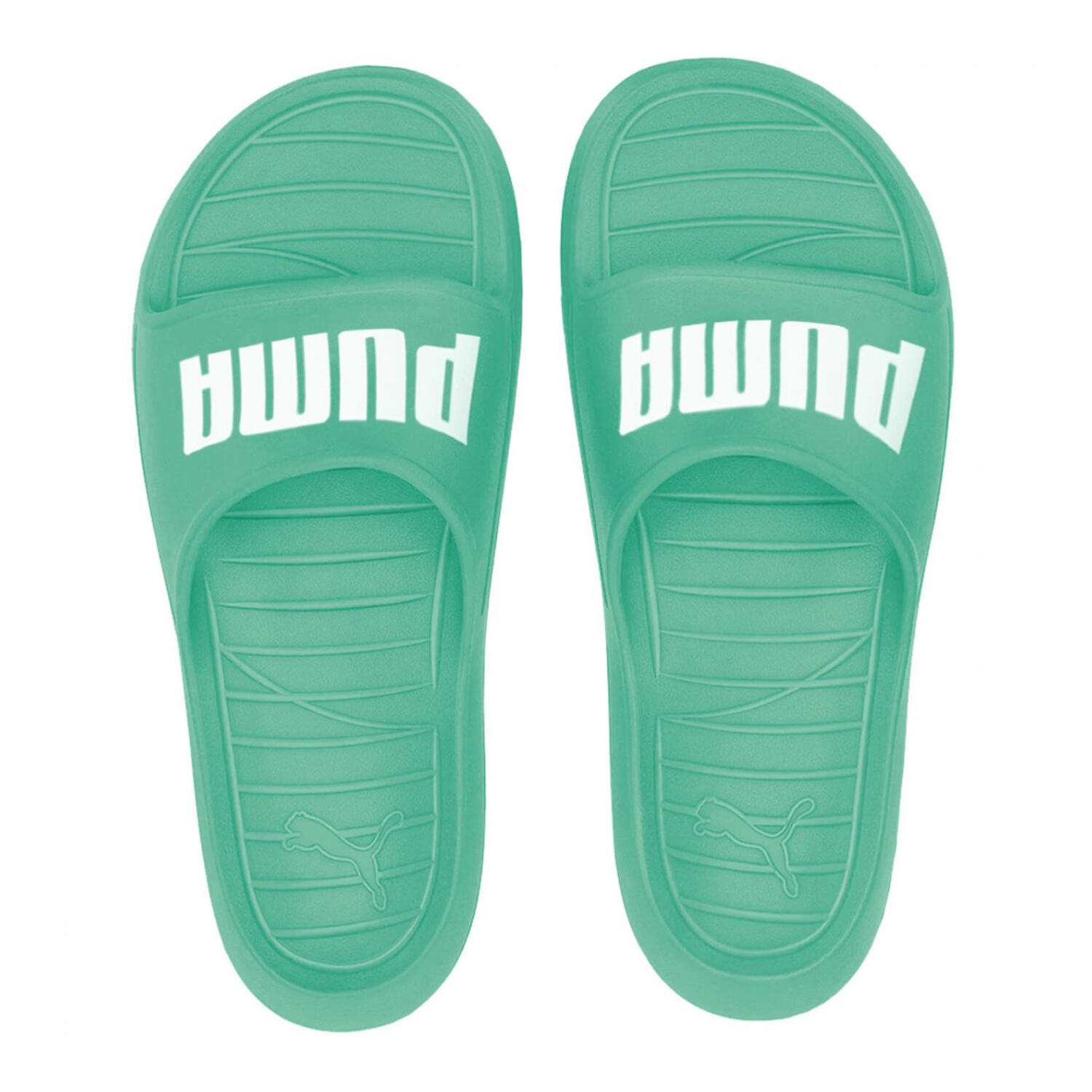 Chinelos Divecat V2 Lite para homem (Verde) 4/6