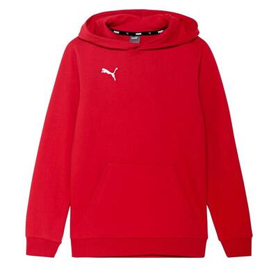 Felpa Con Cappuccio Bambini Puma Team Goal Casuals Verde
