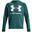 Hanorac Drumeții În Natură Under Armour Rival Big Logo Bărbați