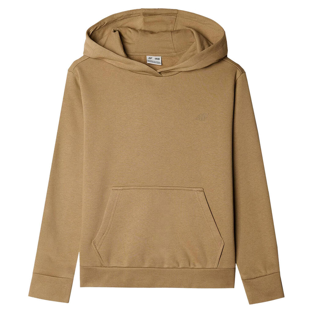 Childrens/Kids F1316 Pull Over Hoodie (Brown)