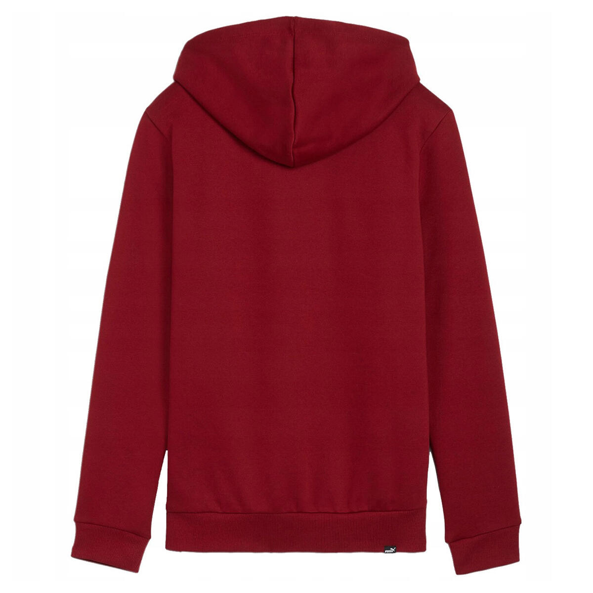 Dames Ess+ Lab Logo Fleece Hoodie (Rood) 2/7