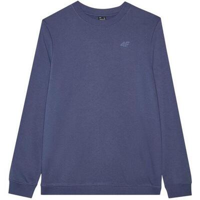 Heren wmm00tswsm1767 sweatshirt (blauw)
