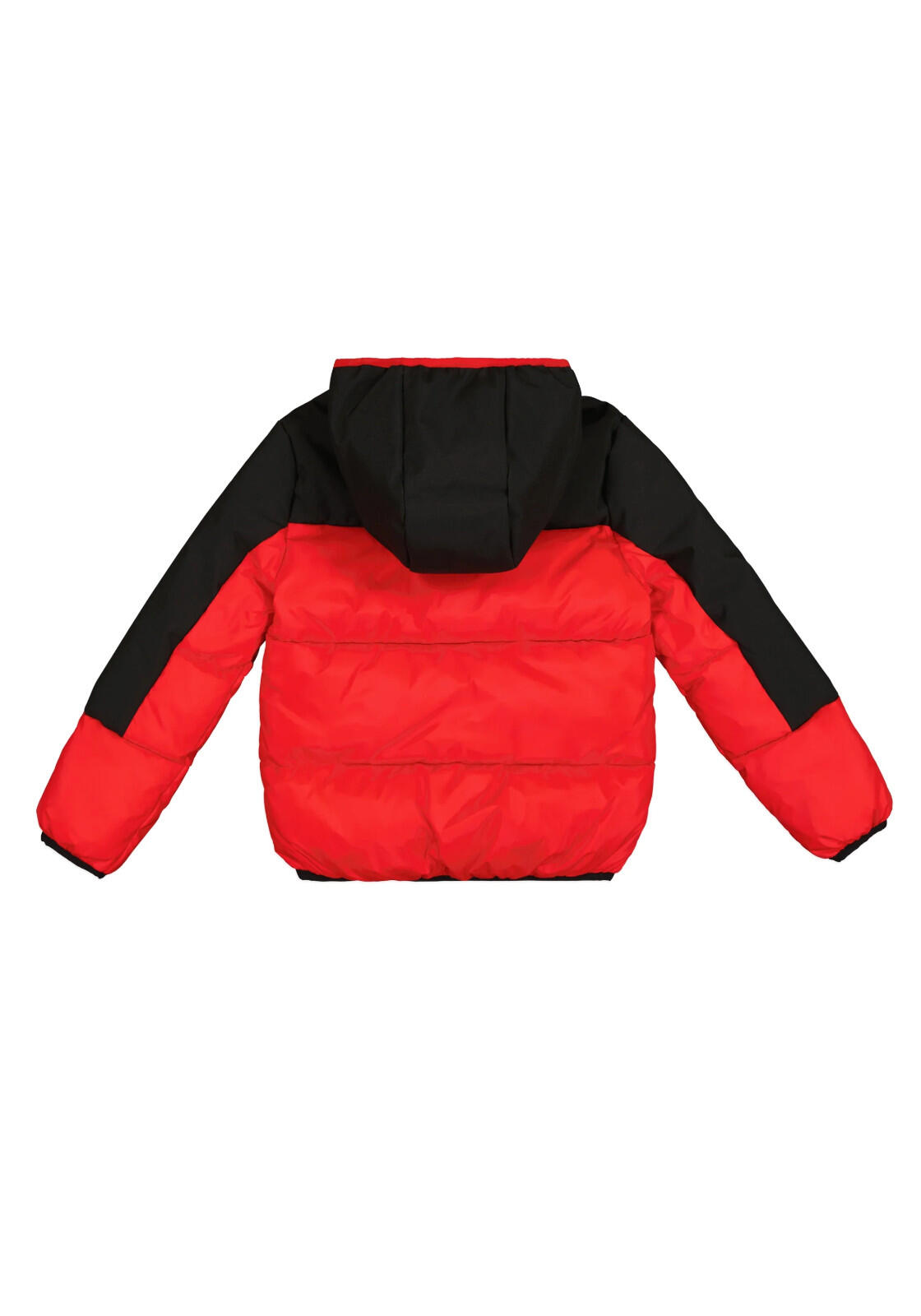 HOODED JKT COL RS011 2/2