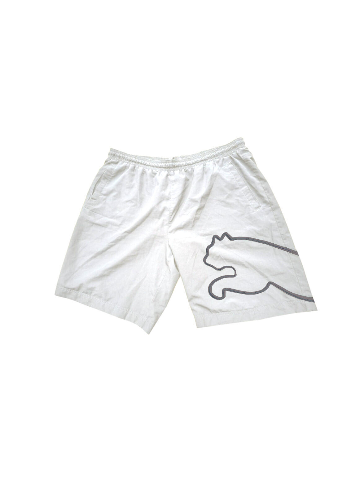 PUMA picture