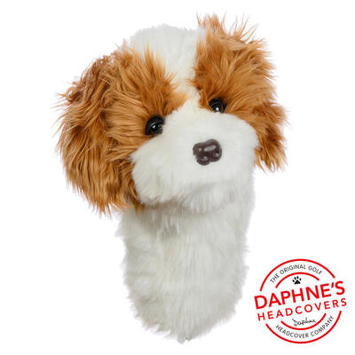 Daphne headcover driver cavapoo