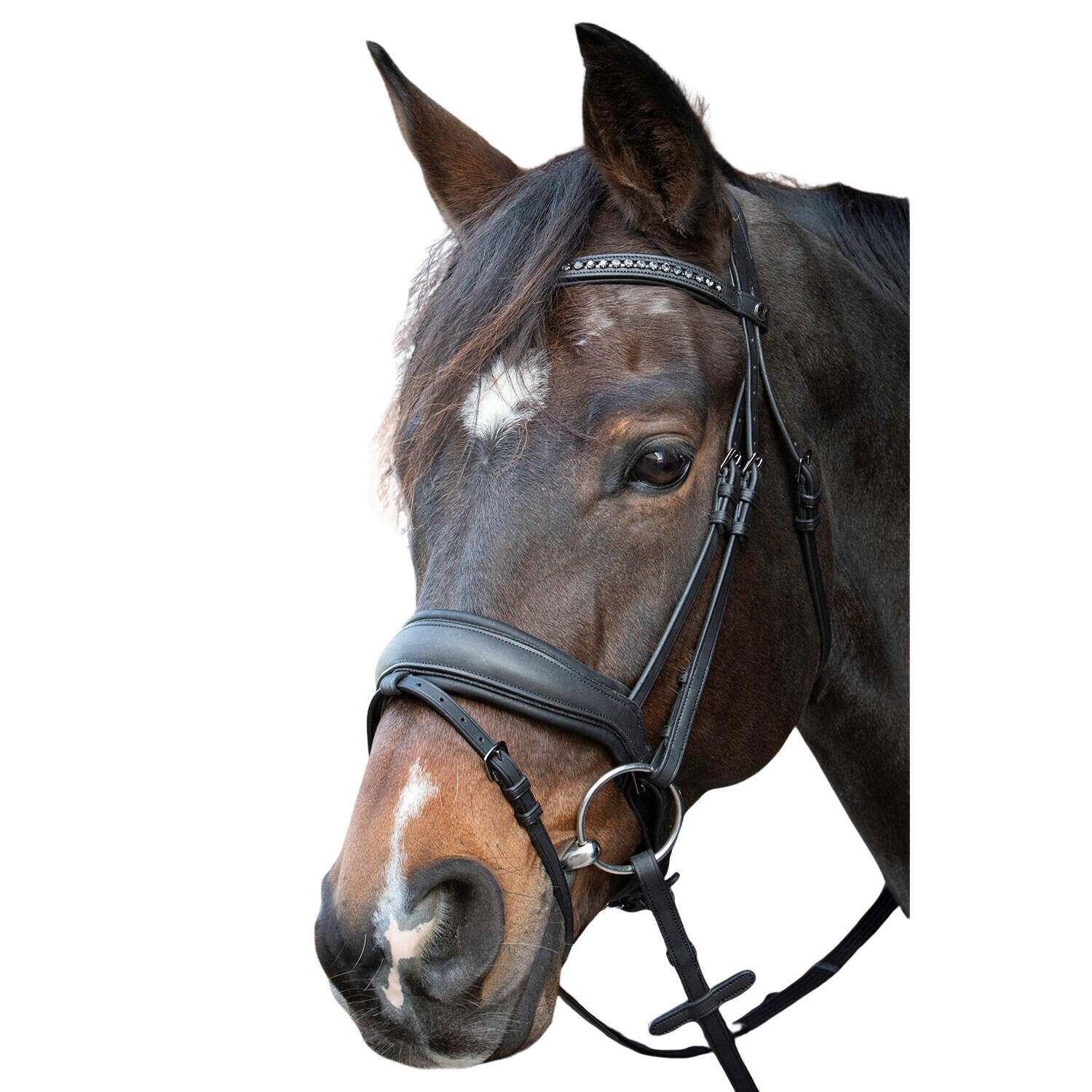 Bridon sans mors pour cheval Harry's Horse Soft Bombastic 2/3