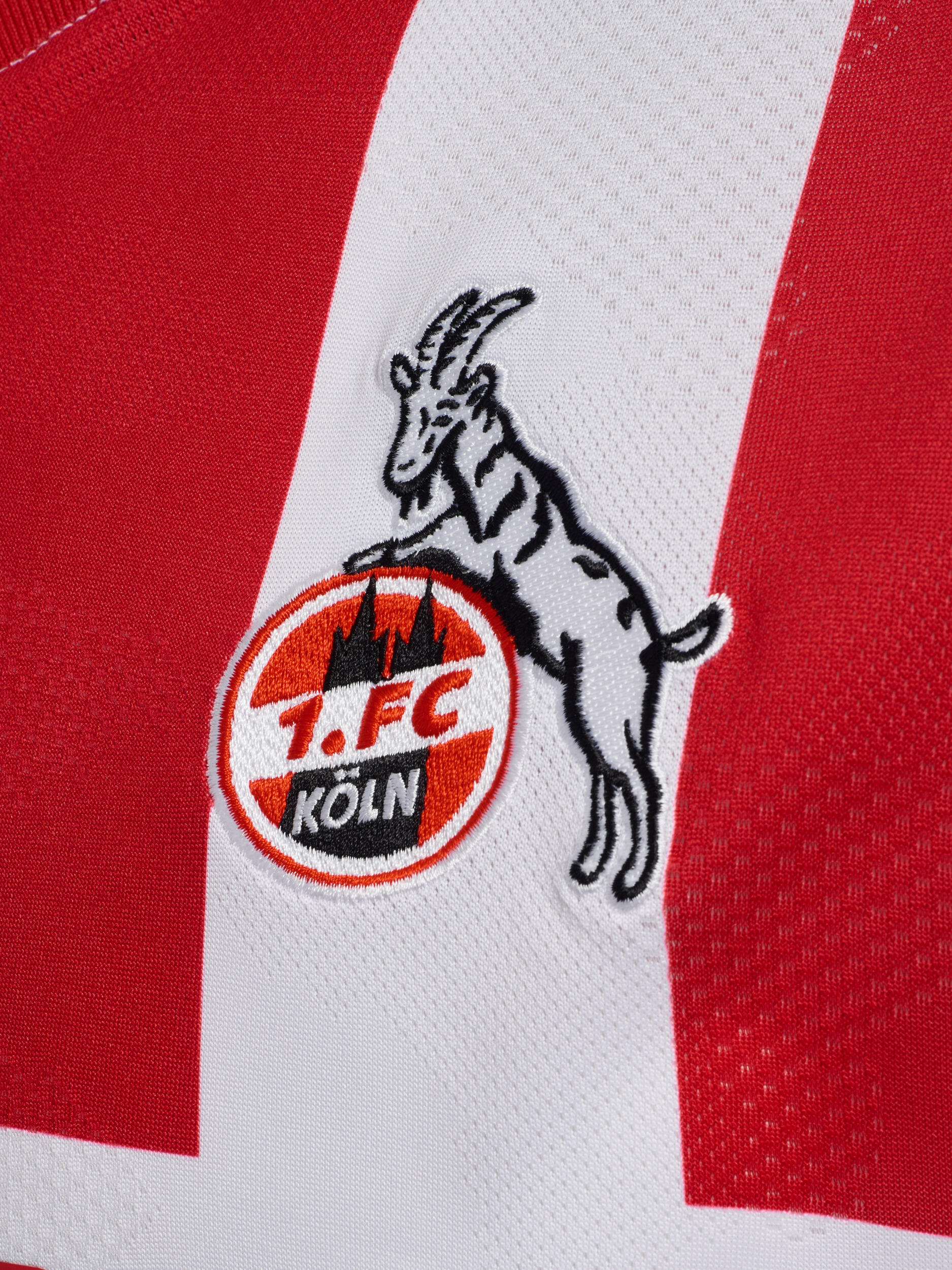 Hummel 1. FC Köln Short Away 2023/2024 Kids Rot F3062 Rot