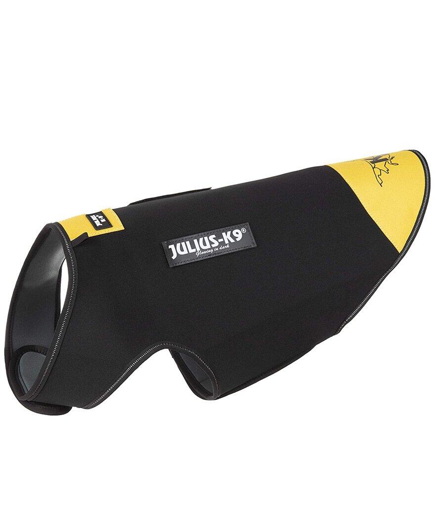 JULIUS-K9 picture