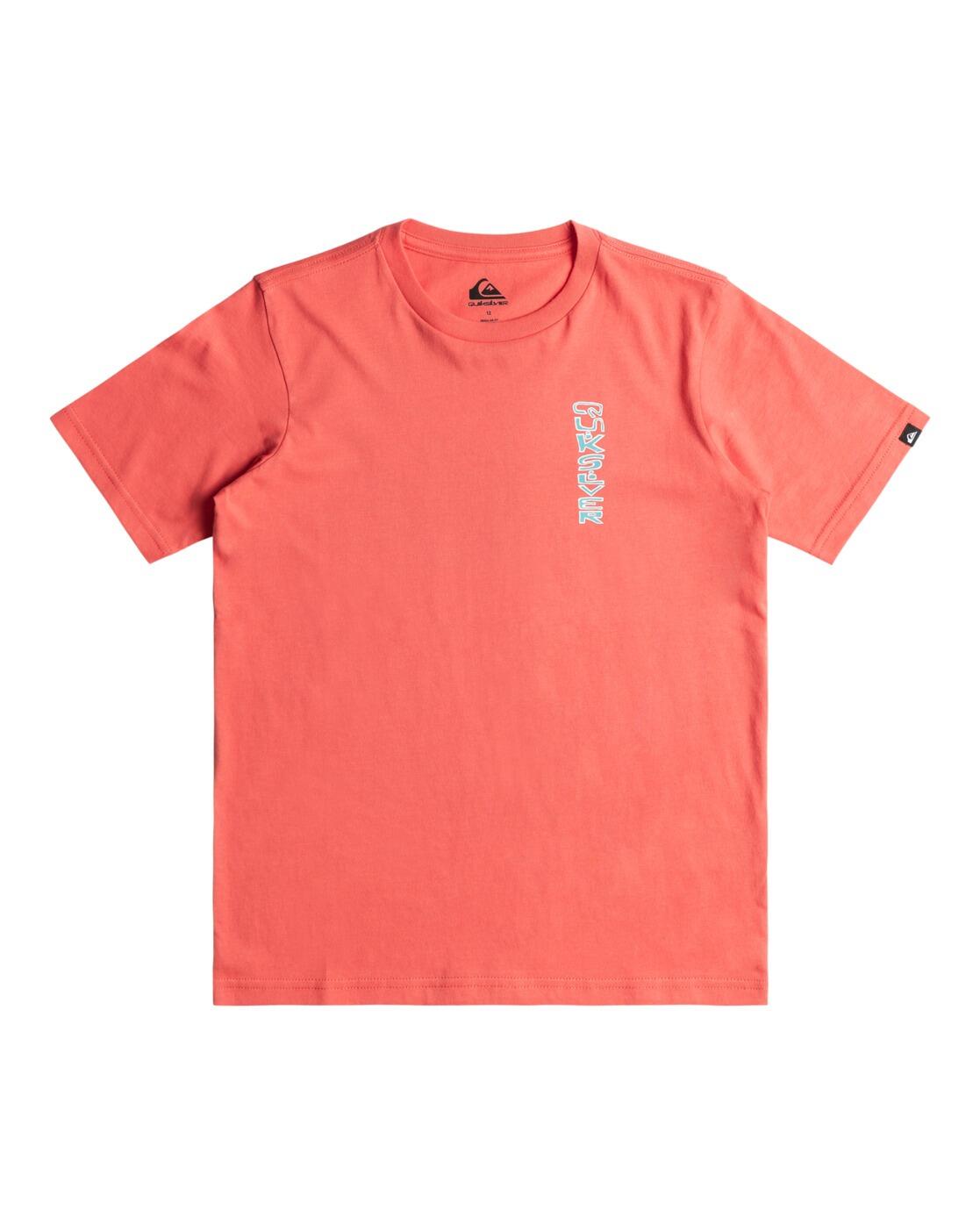 QUIKSILVER picture