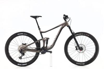 MTB ricondizionata · Reign 1 · Ottimo stato