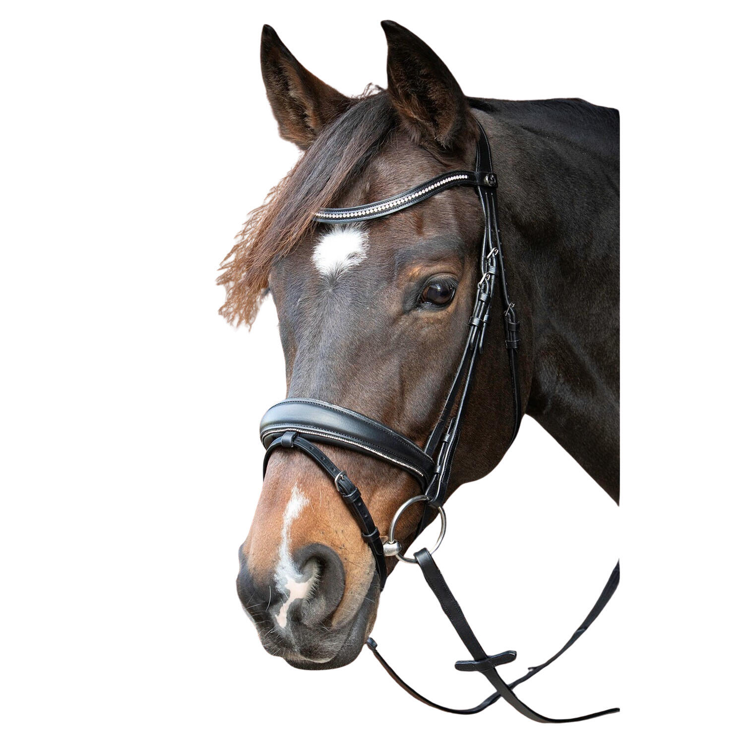 Bittless per cavallo Crystal Harry's Horse 2/3
