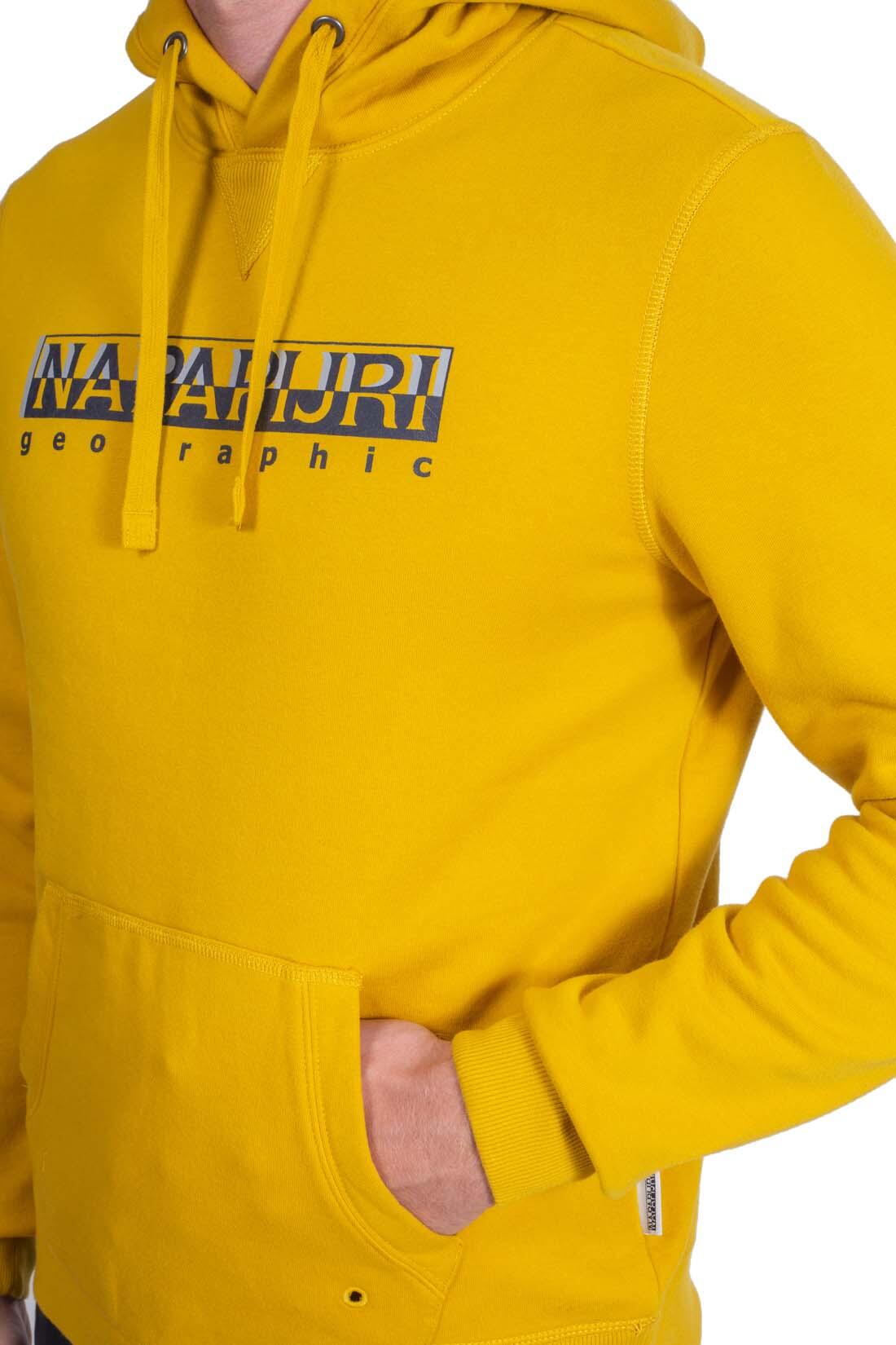 NAPAPIJRI picture