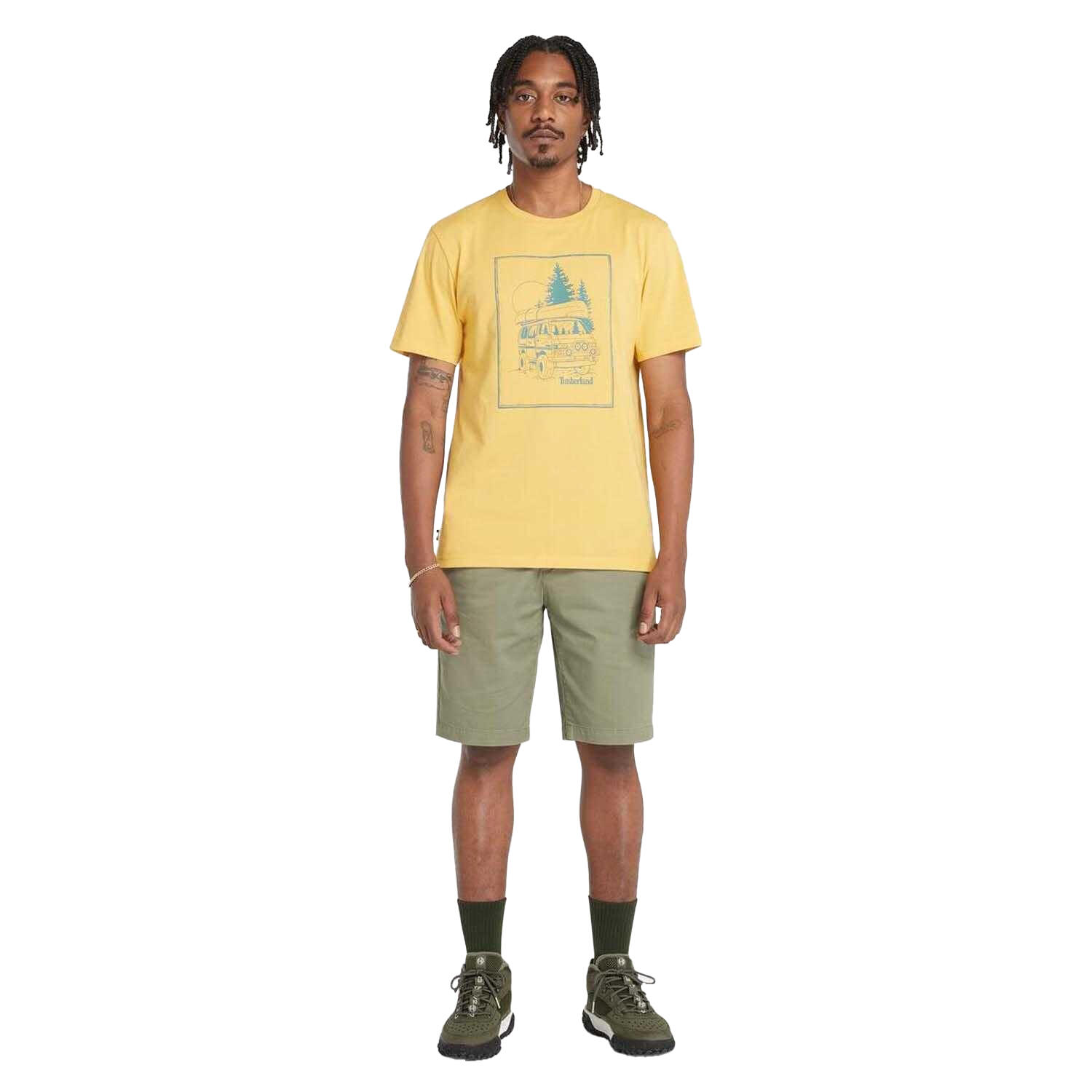 Mens Topsfield Twill Chino Shorts (Green) TIMBERLAND Decathlon