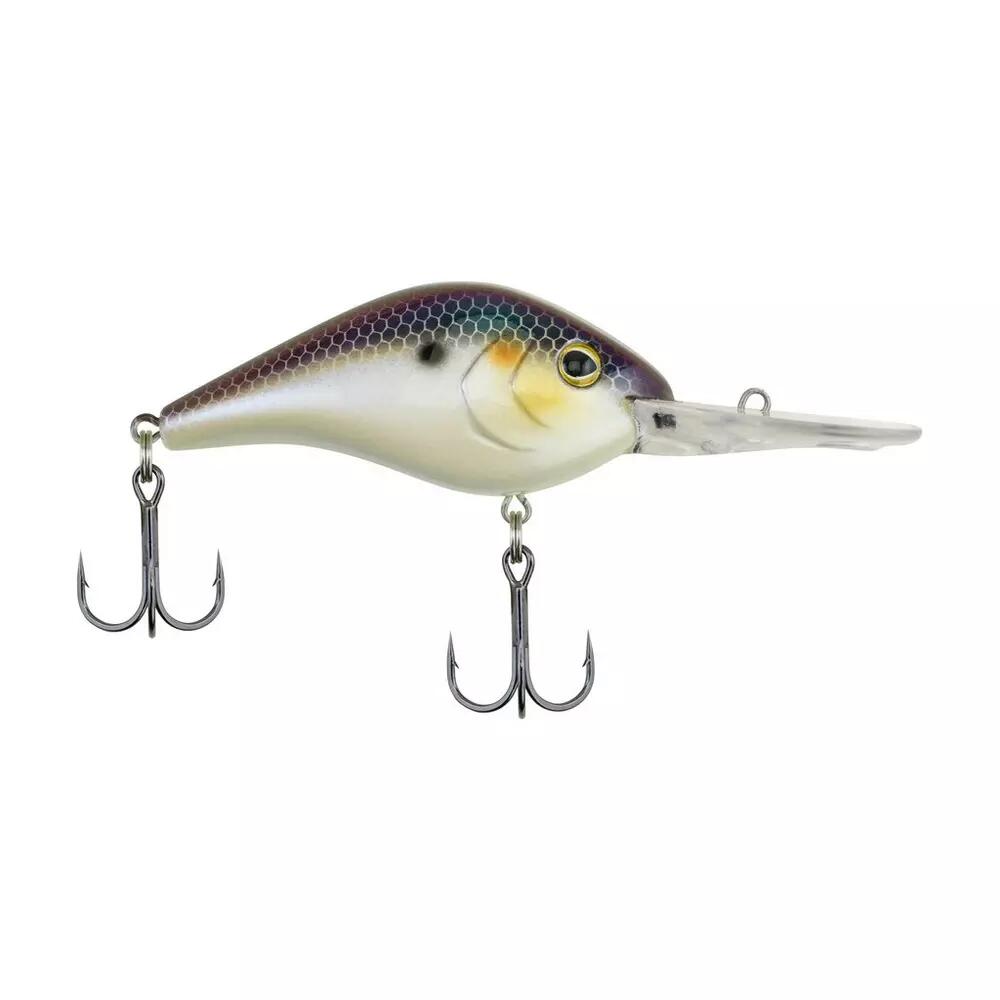 Berkley| Dredger  | 14.5 | Crankbait - Euro Perch 3/6