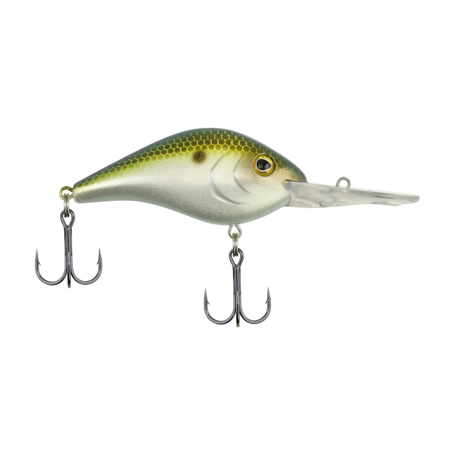Berkley| Dredger  | 14.5 | Crankbait - Euro Perch 6/6