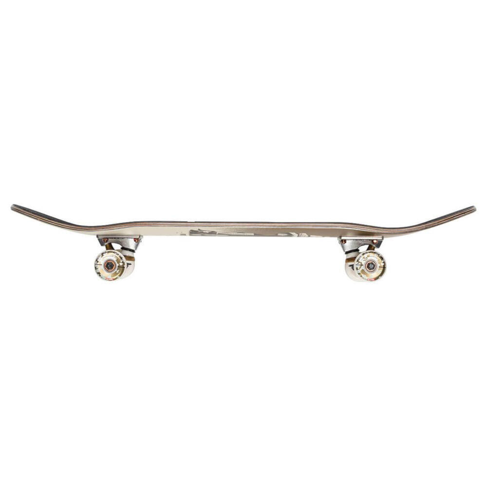 Skateboard Globe G2 On the Brink Shelter 8.0'' 4/4