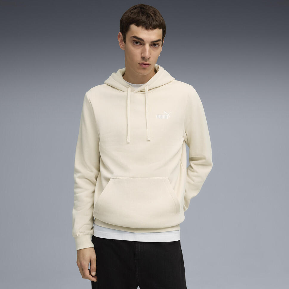 Męska bluza z kapturem Essentials z małym logo No. 1 PUMA Alpine Snow White