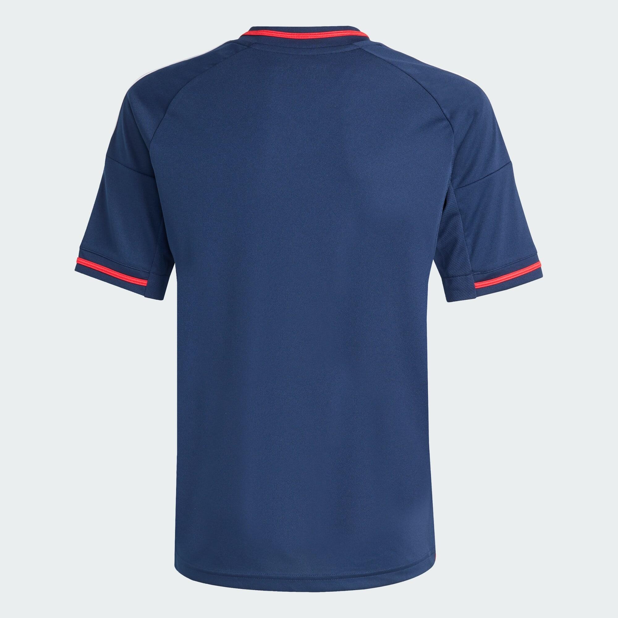 Maglia Away Olympique Lyonnais 25/26 4/5