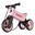 Bicicleta fara pedale 2 in 1 Funny Wheels Rider SuperSport Pastel Baby Pink
