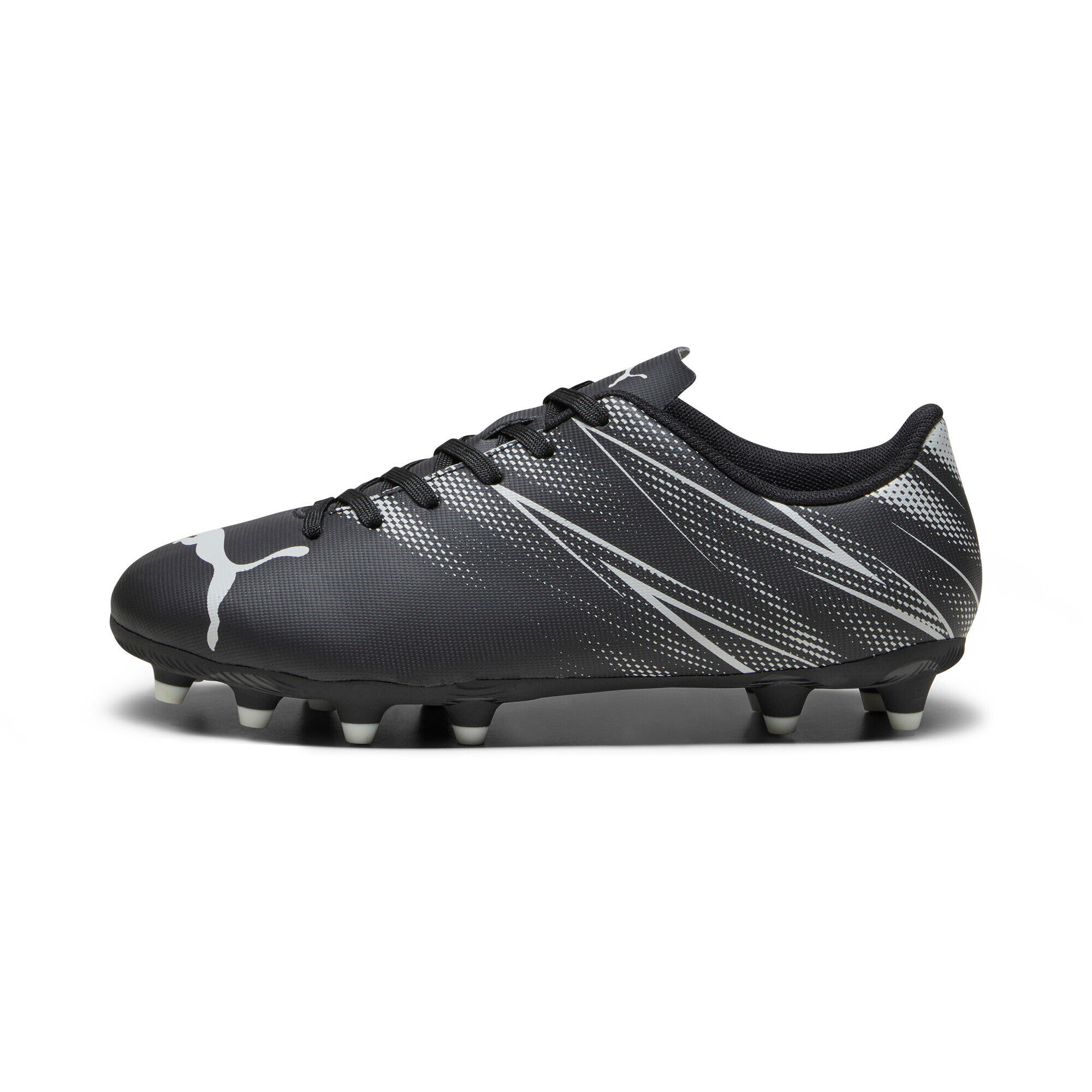 PUMA picture