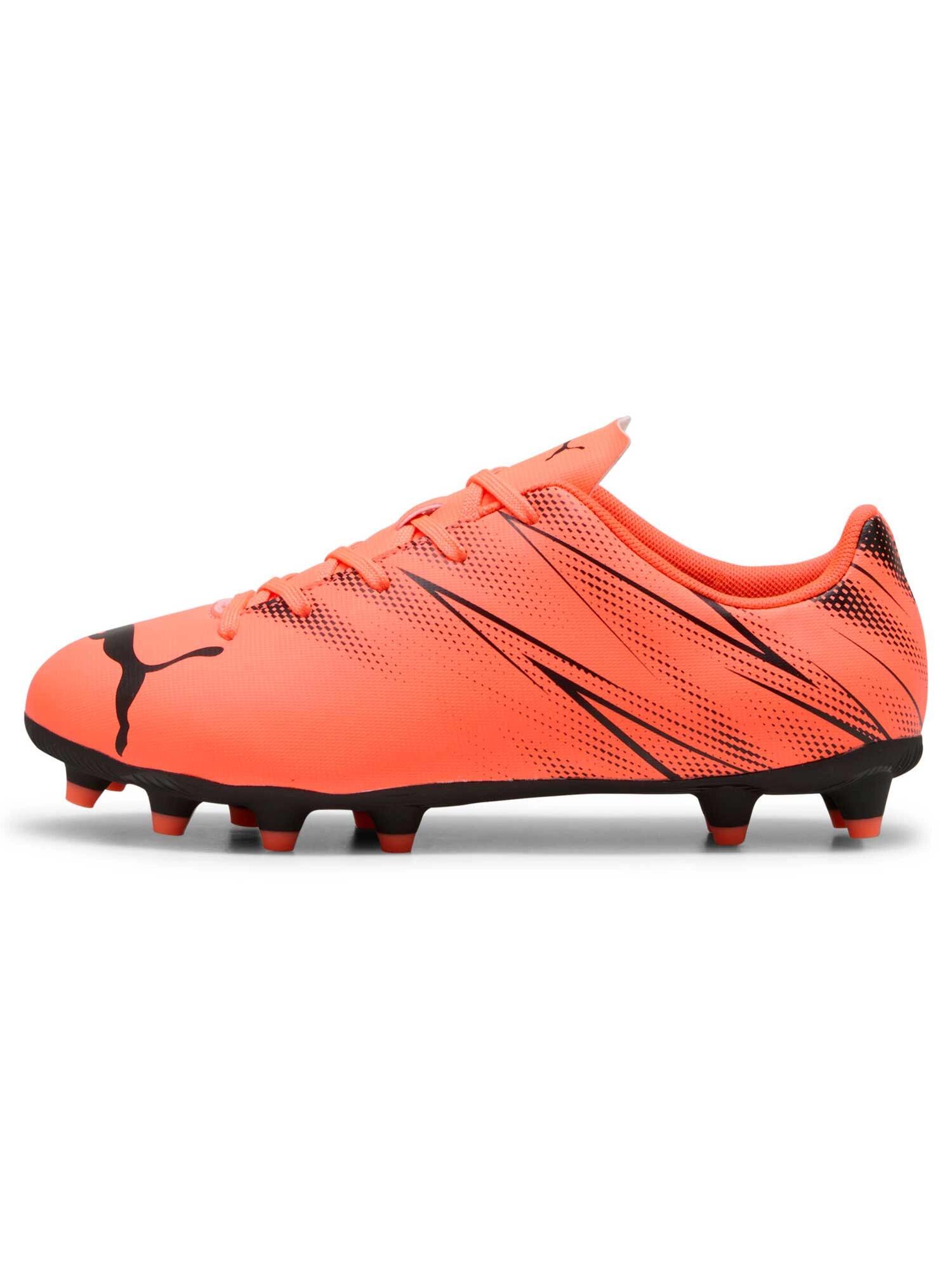 PUMA picture