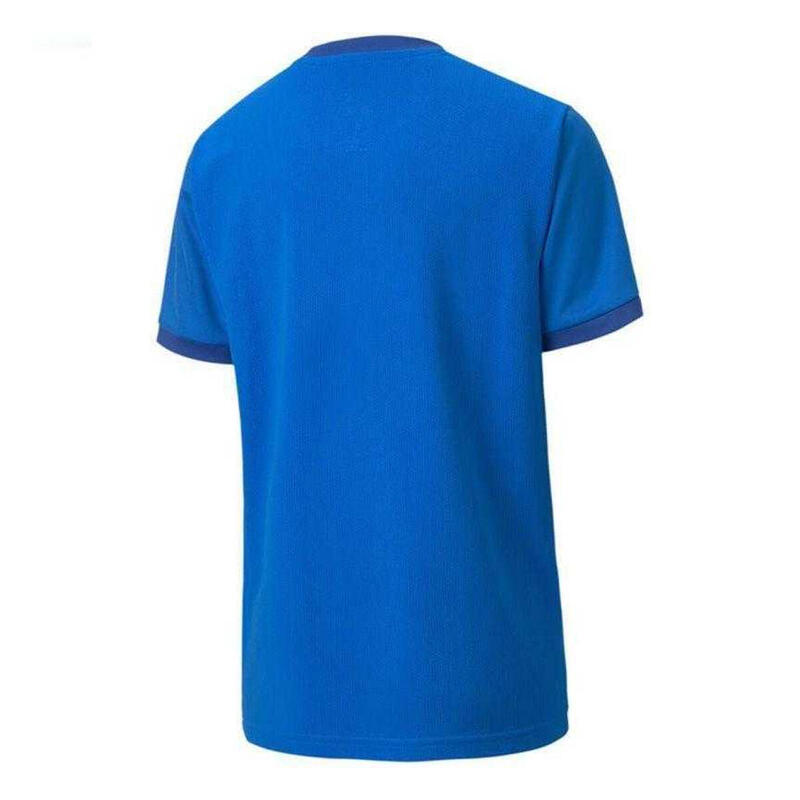 Tricou Drumeții În Natură Puma TeamGoal Copii