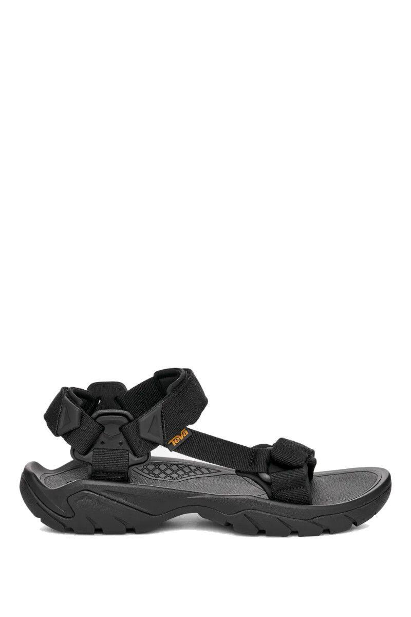 TEVA picture